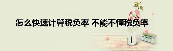 怎么快速计算税负率 不能不懂税负率