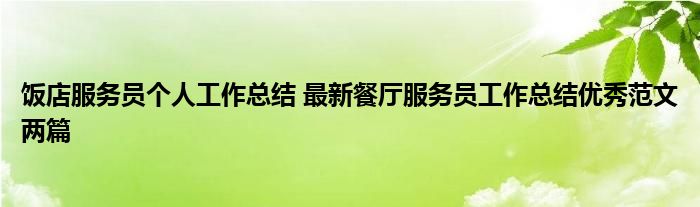 饭店服务员个人工作总结 最新餐厅服务员工作总结优秀范文两篇