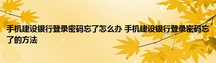 手机建设银行登录密码忘了怎么办 手机建设银行登录密码忘了的方法
