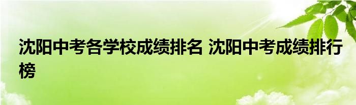 沈阳中考各学校成绩排名 沈阳中考成绩排行榜