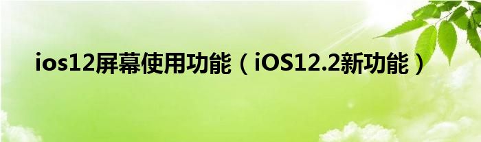 ios12屏幕使用功能(iOS12.2新功能)