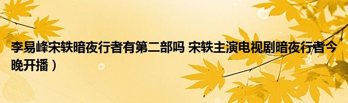 李易峰宋轶暗夜行者有第二部吗 宋轶主演电视剧暗夜行者今晚开播)