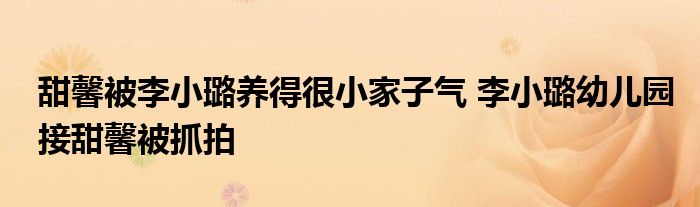 甜馨被李小璐养得很小家子气 李小璐幼儿园接甜馨被抓拍