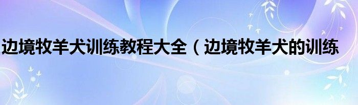 边境牧羊犬训练教程大全(边境牧羊犬的训练