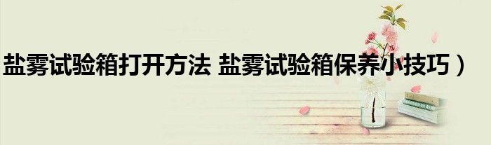 盐雾试验箱打开方法 盐雾试验箱保养小技巧)
