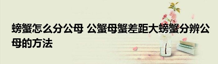 螃蟹怎么分公母 公蟹母蟹差距大螃蟹分辨公母的方法