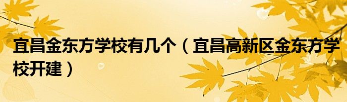 宜昌金东方学校有几个(宜昌高新区金东方学校开建)