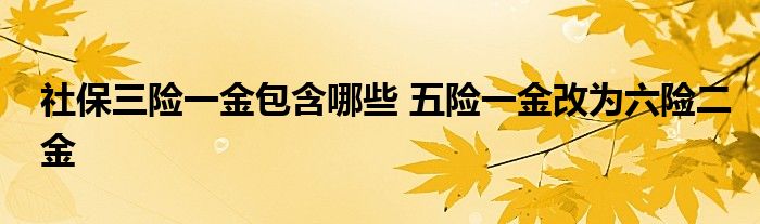 社保三险一金包含哪些 五险一金改为六险二金