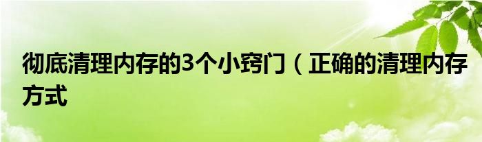 彻底清理内存的3个小窍门(正确的清理内存方式