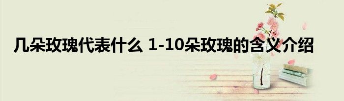 几朵玫瑰代表什么 1-10朵玫瑰的含义介绍