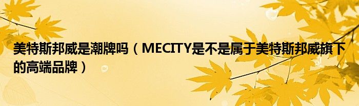美特斯邦威是潮牌吗(MECITY是不是属于美特斯邦威旗下的高端品牌)