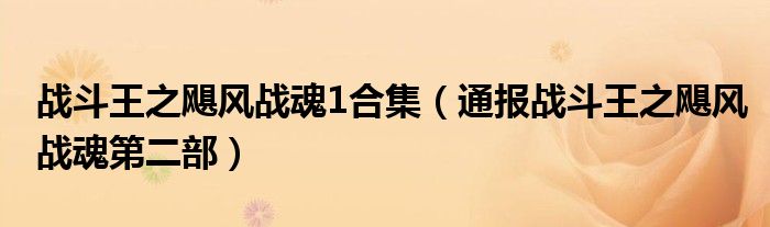 战斗王之飓风战魂1合集(通报战斗王之飓风战魂第二部)