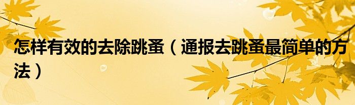 怎样有效的去除跳蚤(通报去跳蚤最简单的方法)