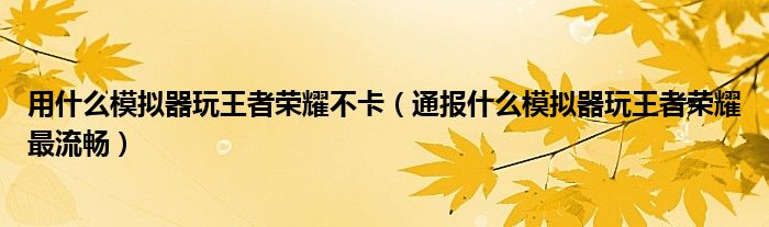 用什么模拟器玩王者荣耀不卡(通报什么模拟器玩王者荣耀最流畅)