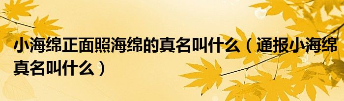 小海绵正面照海绵的真名叫什么(通报小海绵真名叫什么)