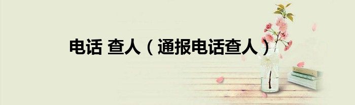 电话 查人(通报电话查人)