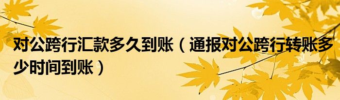 对公跨行汇款多久到账(通报对公跨行转账多少时间到账)