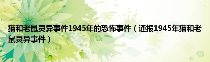猫和老鼠灵异事件1945年的恐怖事件(通报1945年猫和老鼠灵异事件)