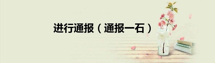 进行通报(通报一石)