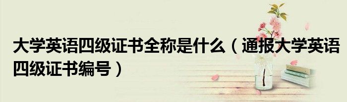大学英语四级证书全称是什么(通报大学英语四级证书编号)