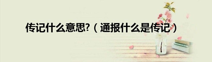 传记什么意思?(通报什么是传记)
