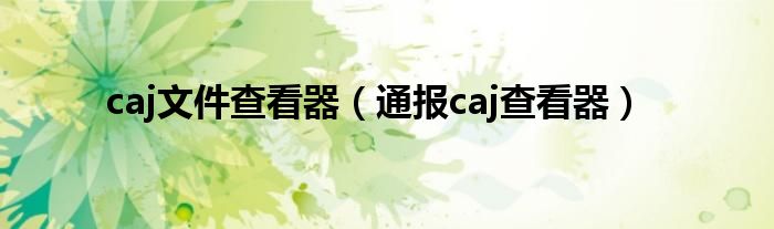 caj文件查看器（通报caj查看器）