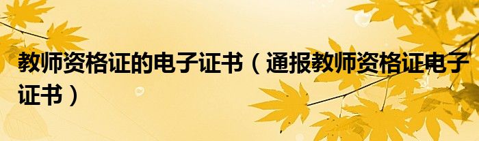 教师资格证的电子证书(通报教师资格证电子证书)