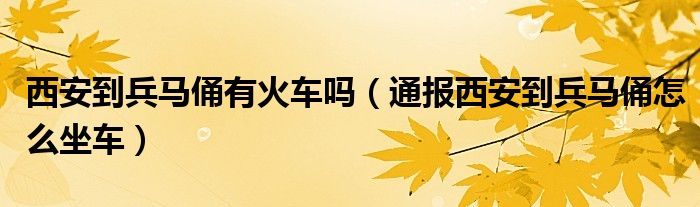 西安到兵马俑有火车吗（通报西安到兵马俑怎么坐车）