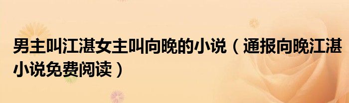 男主叫江湛女主叫向晚的小说(通报向晚江湛小说免费阅读)