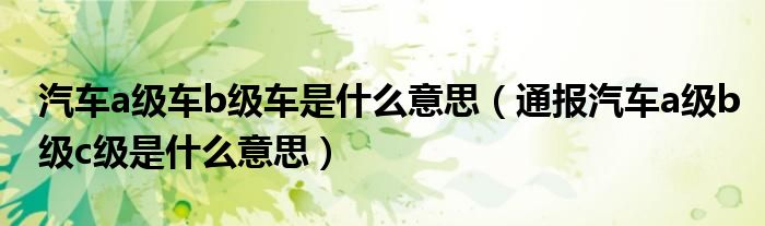 汽车a级车b级车是什么意思(通报汽车a级b级c级是什么意思)
