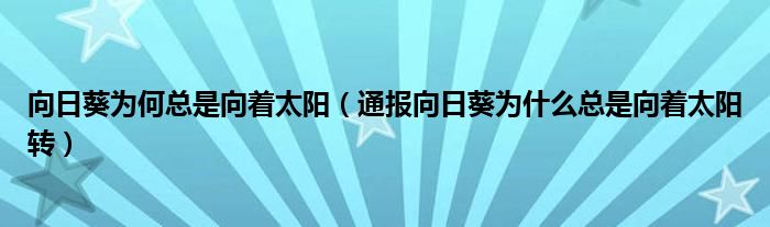 向日葵为何总是向着太阳(通报向日葵为什么总是向着太阳转)