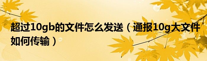 超过10gb的文件怎么发送(通报10g大文件如何传输)