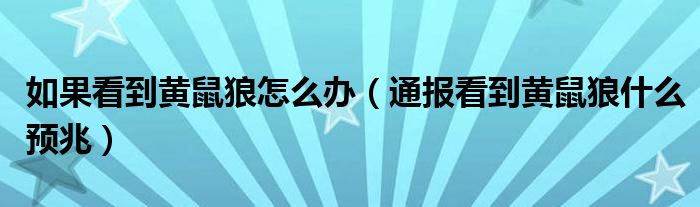 如果看到黄鼠狼怎么办(通报看到黄鼠狼什么预兆)