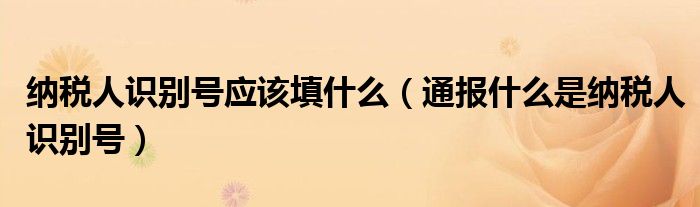纳税人识别号应该填什么(通报什么是纳税人识别号)