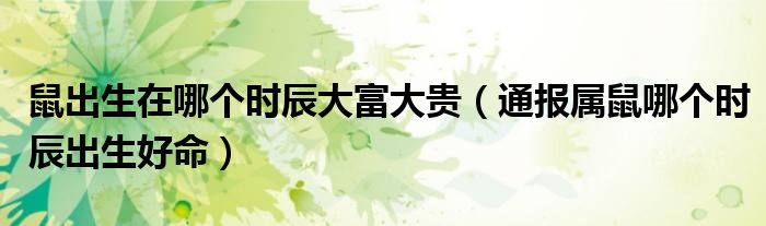 鼠出生在哪个时辰大富大贵(通报属鼠哪个时辰出生好命)