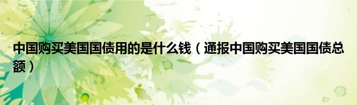 中国购买美国国债用的是什么钱(通报中国购买美国国债总额)
