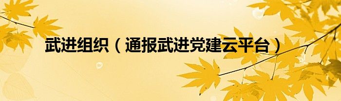 武进组织(通报武进党建云平台)