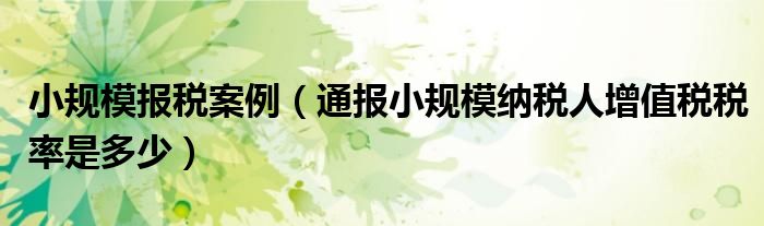 小规模报税案例(通报小规模纳税人增值税税率是多少)