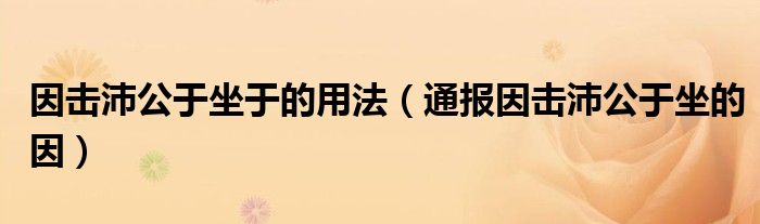因击沛公于坐于的用法（通报因击沛公于坐的因）