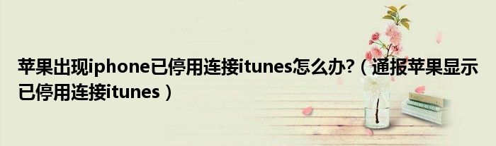 苹果出现iphone已停用连接itunes怎么办?(通报苹果显示已停用连接itunes)