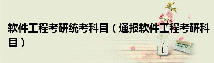 软件工程考研统考科目（通报软件工程考研科目）