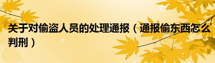 关于对偷盗人员的处理通报(通报偷东西怎么判刑)