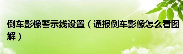 倒车影像警示线设置(通报倒车影像怎么看图解)