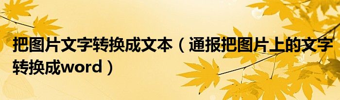 把图片文字转换成文本(通报把图片上的文字转换成word)