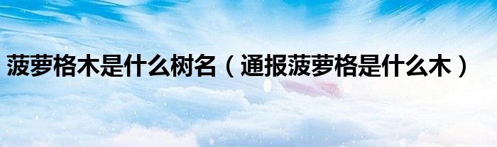 菠萝格木是什么树名(通报菠萝格是什么木)