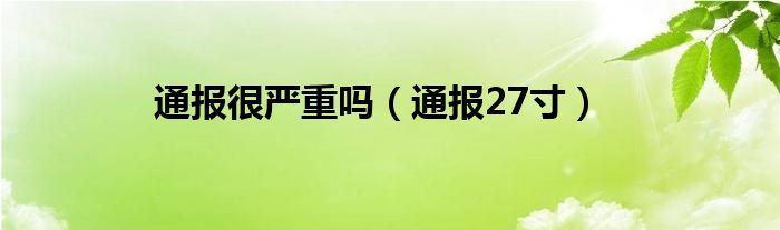 通报很严重吗(通报27寸)