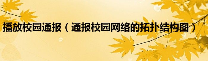 播放校园通报(通报校园网络的拓扑结构图)