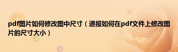 pdf图片如何修改图中尺寸(通报如何在pdf文件上修改图片的尺寸大小)