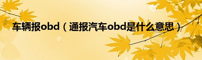 车辆报obd(通报汽车obd是什么意思)