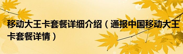 移动大王卡套餐详细介绍(通报中国移动大王卡套餐详情)
